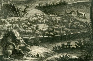 Wolf attacking a sheep, 1731 (detail)